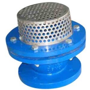 Cast Iron Foot Valve