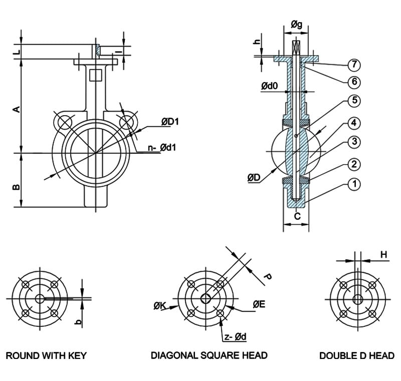 Two Holes PTFE Lug Butterfly Valve Drawing