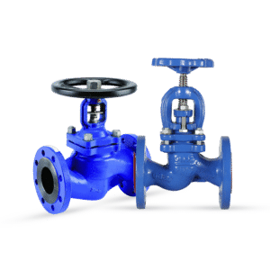 Globe Valve