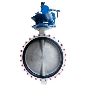 Válvula de mariposa con orejas hidráulica