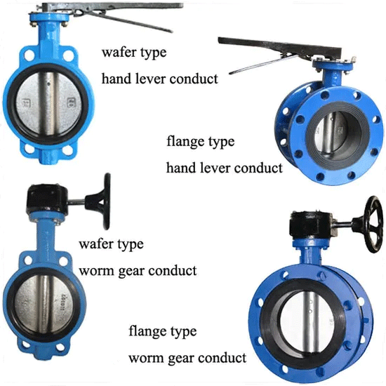 Concentric butterfly valve