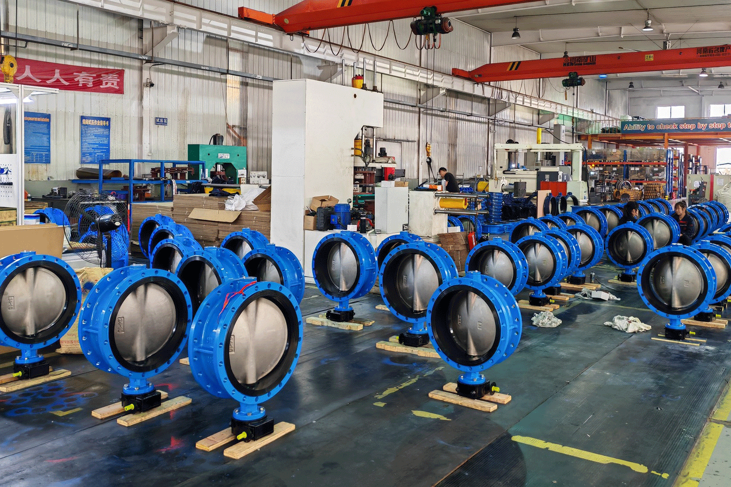 Inicio 28 Concentric butterfly valve