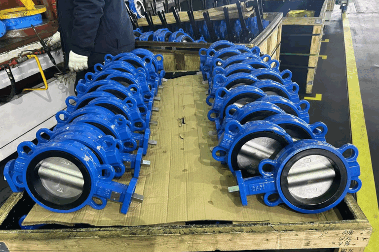 butterfly valve 1