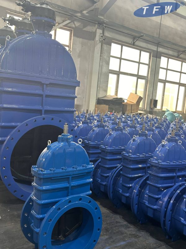 TFW-gate-valve
